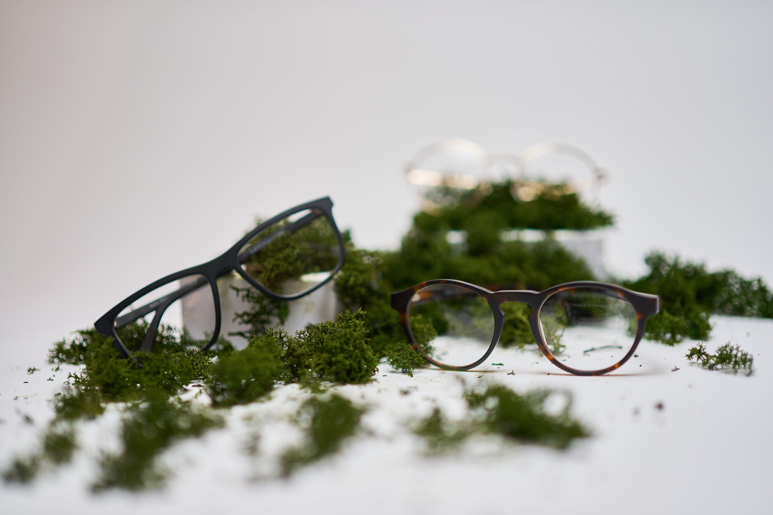 Umweltfreundliche Initiativen