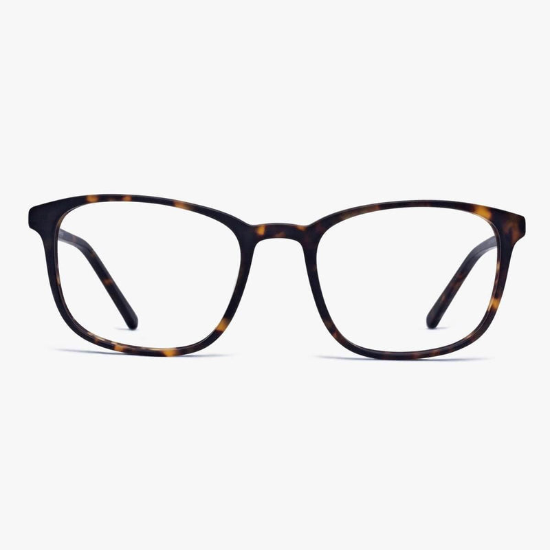 Men's Ebeltoft Dark Turtle glasses with a dark tortoiseshell frame